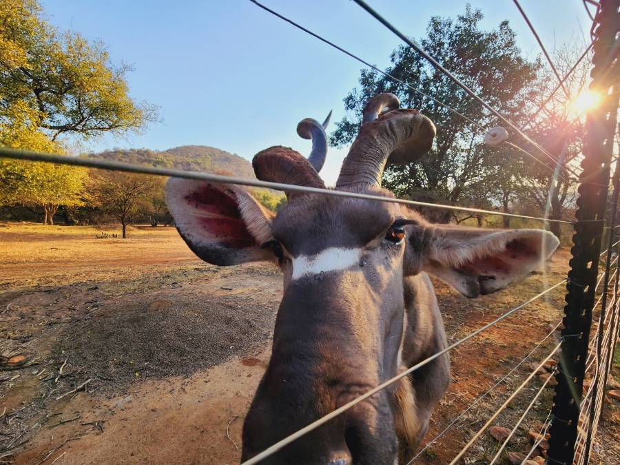 7 Bedroom Property for Sale in Potchefstroom Rural North West